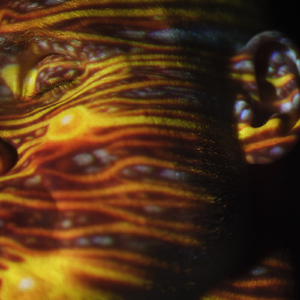 搡BBB上海少妇搡BBB3
