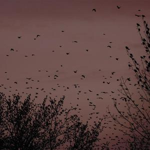 搡BBB上海少妇搡BBB3
