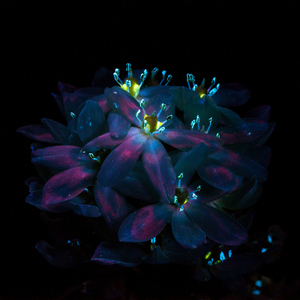 搡BBB上海少妇搡BBB3
